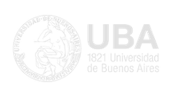 Universidad de Buenos Aires